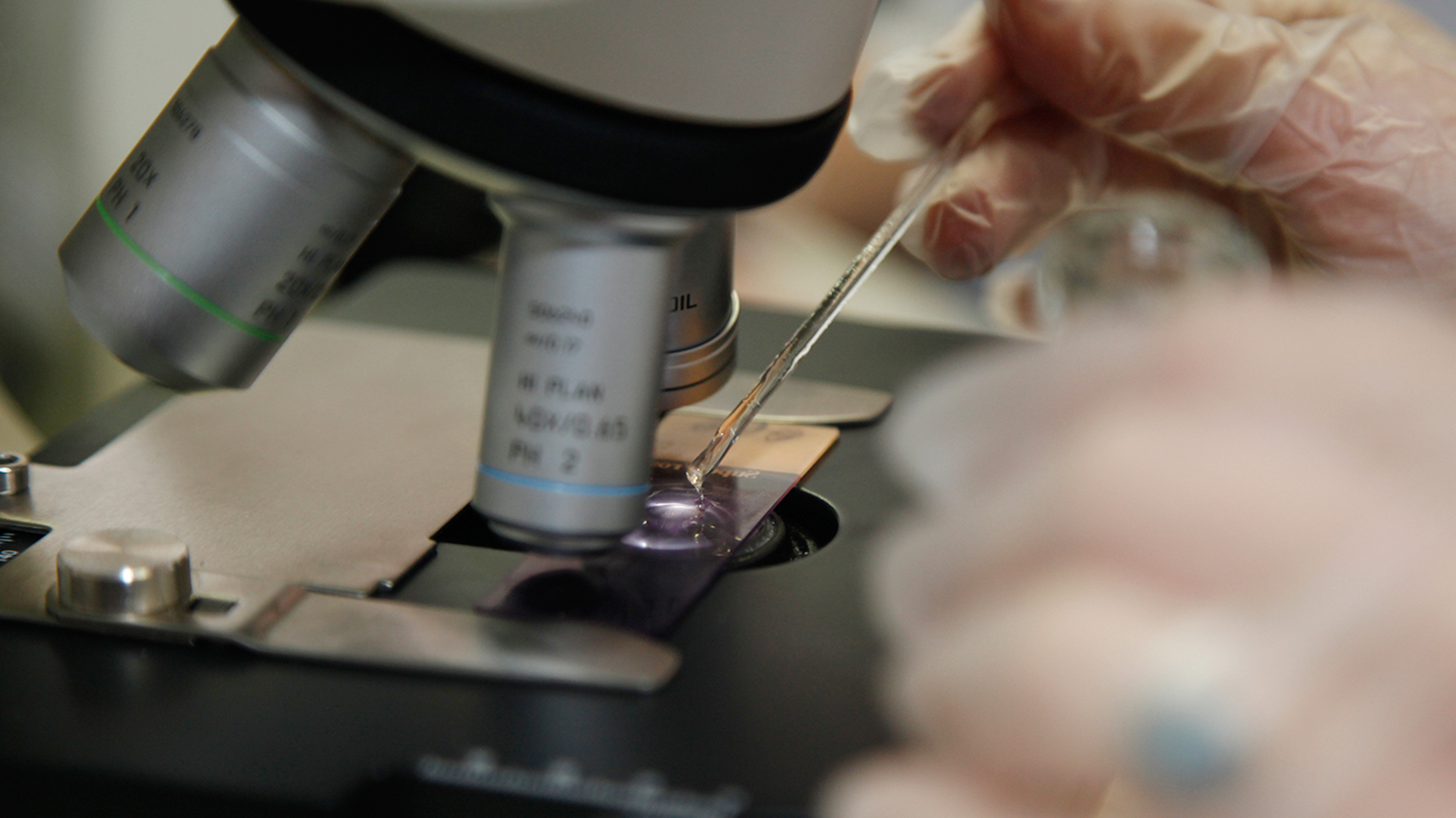 biomedicīnas laborants darbojas ar mikroskopu