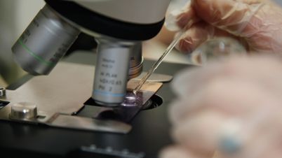 biomedicīnas laborants darbojas ar mikroskopu