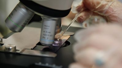 biomedicīnas laborants darbojas ar mikroskopu