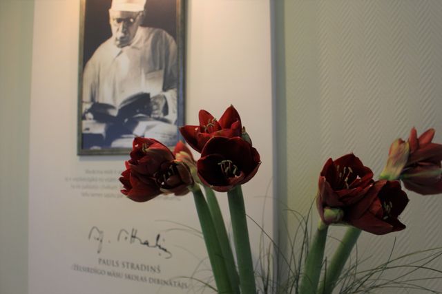 Professor Pauls Stradiņš (1896–1958)